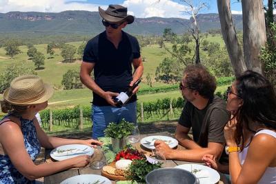 Tour de lujo por las montañas azules con almuerzo de barbacoa aus