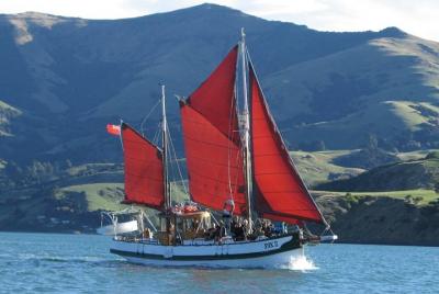 Navegación a vela y vida salvaje Akaroa Fox II Sailing