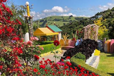 Excursión por la costa de Akaroa: visita local del puerto de Akar