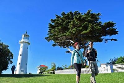 Excursión de un día a la isla Tiritiri Matangi desde Auckland con