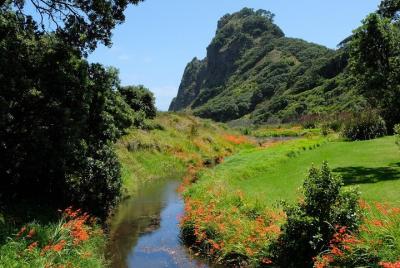 Piha 