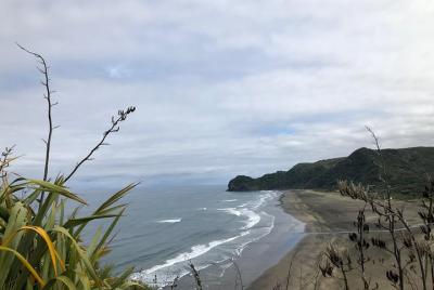 Descubre la playa de arena negra y la selva tropical de Auckland 