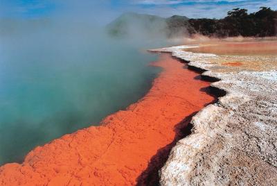 Tour de 3 días de Auckland a Wellington