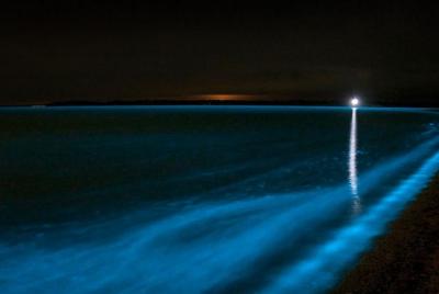Bioluminiscencia Kayak Tour