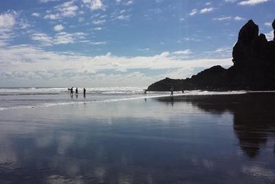 Tour privado de Piha y KiteKite Falls de Auckland