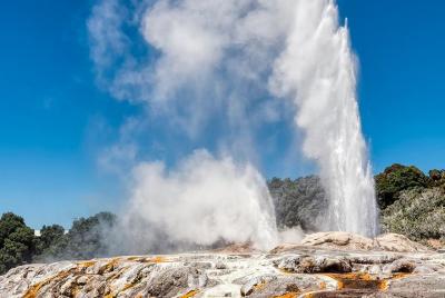 Rotorua destaca la gira en grupos pequeños que incluye Te Puia de Rotorua destaca la gira en grupos pequeños que incluye Te Puia de