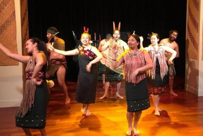 Recorrido cultural por la ciudad de Auckland y la cultura maorí (