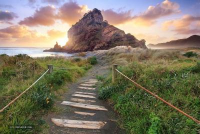 Excursión de medio día a lo mejor de la costa oeste de Auckland
