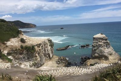 Beautiful Nature Tours Auckland - Tour privado