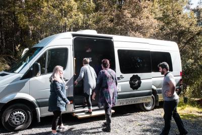 Tour de lo más destacado de Bay of Islands - Con Glow Worm Caves