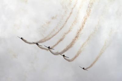 Vino de invierno gourmet y placeres escénicos de Marlborough: tou