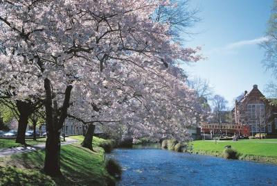 South Island Road Trip Delights: Custom Multi Day 14D: 13N