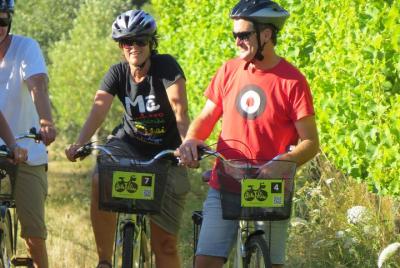 Alquiler de bicicleta Half-Day Marlborough Wine Region