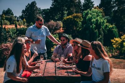 Tour de vinos de la región de Waipara con todo incluido desde Chr Tour de vinos de la región de Waipara con todo incluido desde Chr