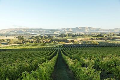 Una experiencia de vino Waipara con Giles Tours, incluye catas de Una experiencia de vino Waipara con Giles Tours, incluye catas de