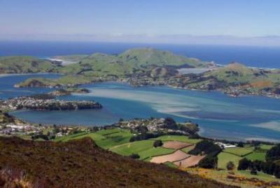 Excursión de 6 días a Southern Island Southern Heritage desde Chr Excursión de 6 días a Southern Island Southern Heritage desde Chr
