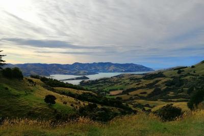 Excursión de 5 días a Christchurch y Canterbury Explorer para loc