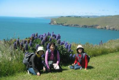 Excursión por la costa de Christchurch