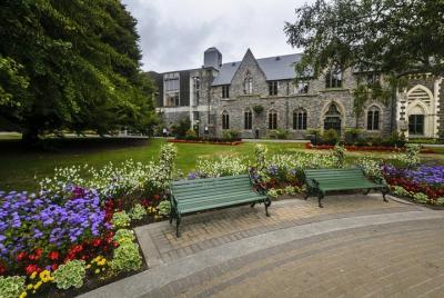 Búsqueda del tesoro de Christchurch: presionar Reiniciar