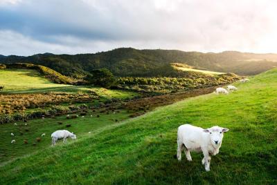Aeropuerto de Christchurch (CHC) al centro de la ciudad al aeropu