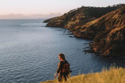 Paseo de un día por el paseo costero de Coromandel en la ciudad d
