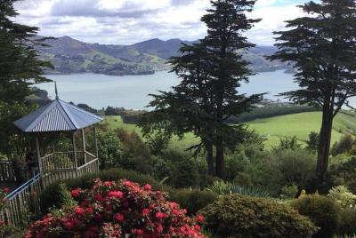 Excursión en tierra: visita a la ciudad de Dunedin, tren costero  Excursión en tierra: visita a la ciudad de Dunedin, tren costero