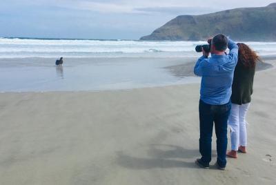 Excursión por la costa de Dunedin: excursión en grupo pequeño por Excursión por la costa de Dunedin: excursión en grupo pequeño por