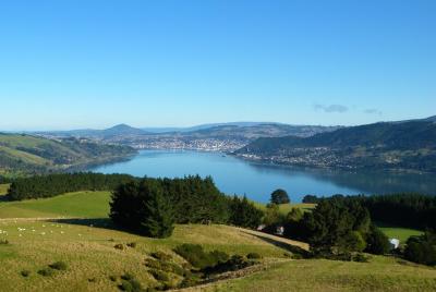 Recorrido por los paisajes de la península de Otago y la ciudad d Recorrido por los paisajes de la península de Otago y la ciudad d