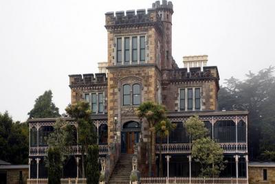 Tour en grupo en crucero por la costa de Dunedin