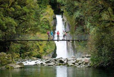 Recorrido guiado de medio día por Milford Track Recorrido guiado de medio día por Milford Track