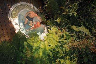 Piscinas termales del glaciar Franz Josef: entrada a la piscina p