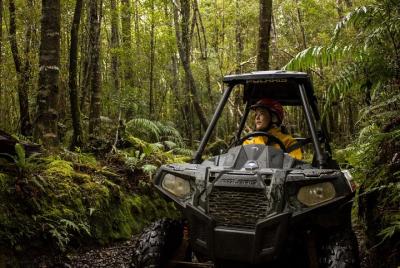 1 hora Enchanted Forest Track - BUGGIES 1 hora Enchanted Forest Track - BUGGIES