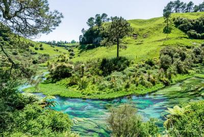 Tour romántico en Hamilton
