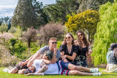 Lugares turísticos en Hanmer Springs Cosas que hacer en Hanmer Springs 172408