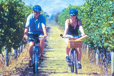 Tour de autoguías por las bodegas Hawkes Bay Wineries