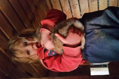 Tour interactivo de animales