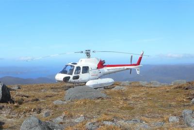 Vuelo panorámico de Pegaso y los Gogs