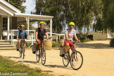 Excursión autoguiada en bicicleta por las bodegas Martinborough W