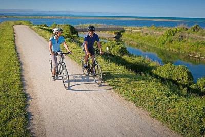Tour en bicicleta por Cape Winery: 6 bodegas autoguiadas Tour en bicicleta por Cape Winery: 6 bodegas autoguiadas