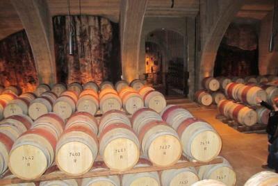 Napier Shore Excursion: Wine, Beer & Art Deco Tour