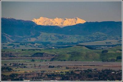 Excursión en tierra: 4 horas Premium Hawkes Bay y Napier Tour Excursión en tierra: 4 horas Premium Hawkes Bay y Napier Tour