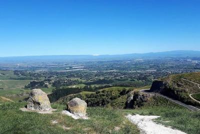 Excursión Lo mejor de Napier para grupos pequeños Excursión Lo mejor de Napier para grupos pequeños
