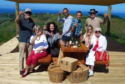 Tarde Napier Wine Tour + Cata de cerveza opcional