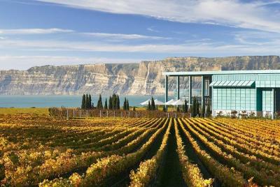 Hawke's Bay Morning Wine Tour y Te Mata Peak, incluido el almuerz