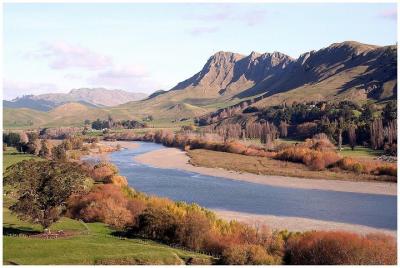Excursión en tierra: 4 horas Descubra Hawkes Bay y Napier Tour Excursión en tierra: 4 horas Descubra Hawkes Bay y Napier Tour