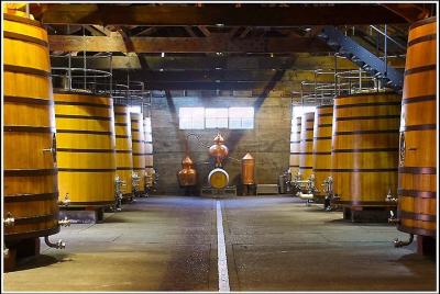 Tour de vinos de medio día para grupos pequeños en Napier