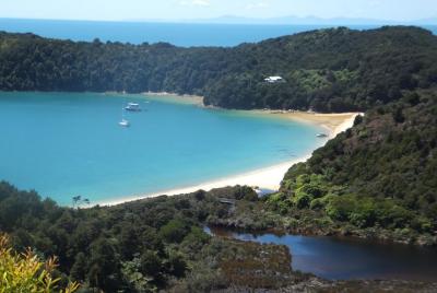 Excursión de senderismo por el Parque Nacional Abel Tasman de un 