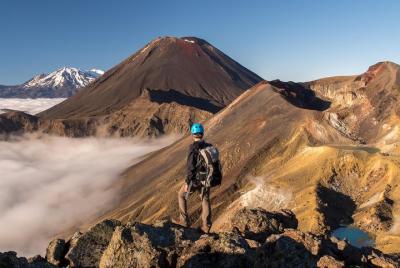 Lugares turísticos en Ohakune Cosas que hacer en Ohakune 172536