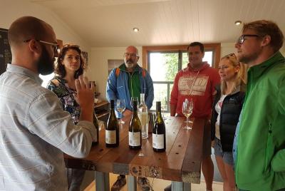 Excursión en crucero - Wines of Marlborough Tour