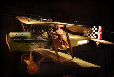 Picton Shore Excursion: Alas de Omaka y Marlborough Wine Tour